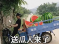 2021娱乐圈吃瓜不断,瓜田李下，明星风云录