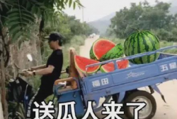 2021娱乐圈吃瓜不断,瓜田李下，明星风云录