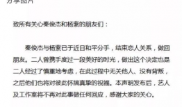 娱乐圈吃瓜爆料张翰,揭秘背后的真相与争议
