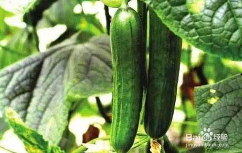 糖豆豆娱乐圈吃瓜合集