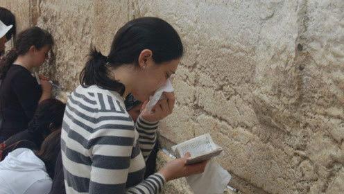 娱乐吃瓜君滤镜